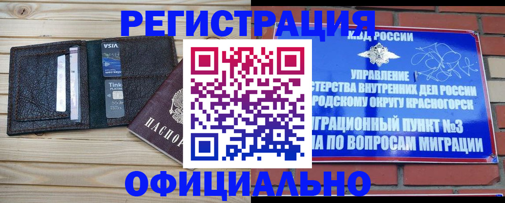 купить прописку в Холмске